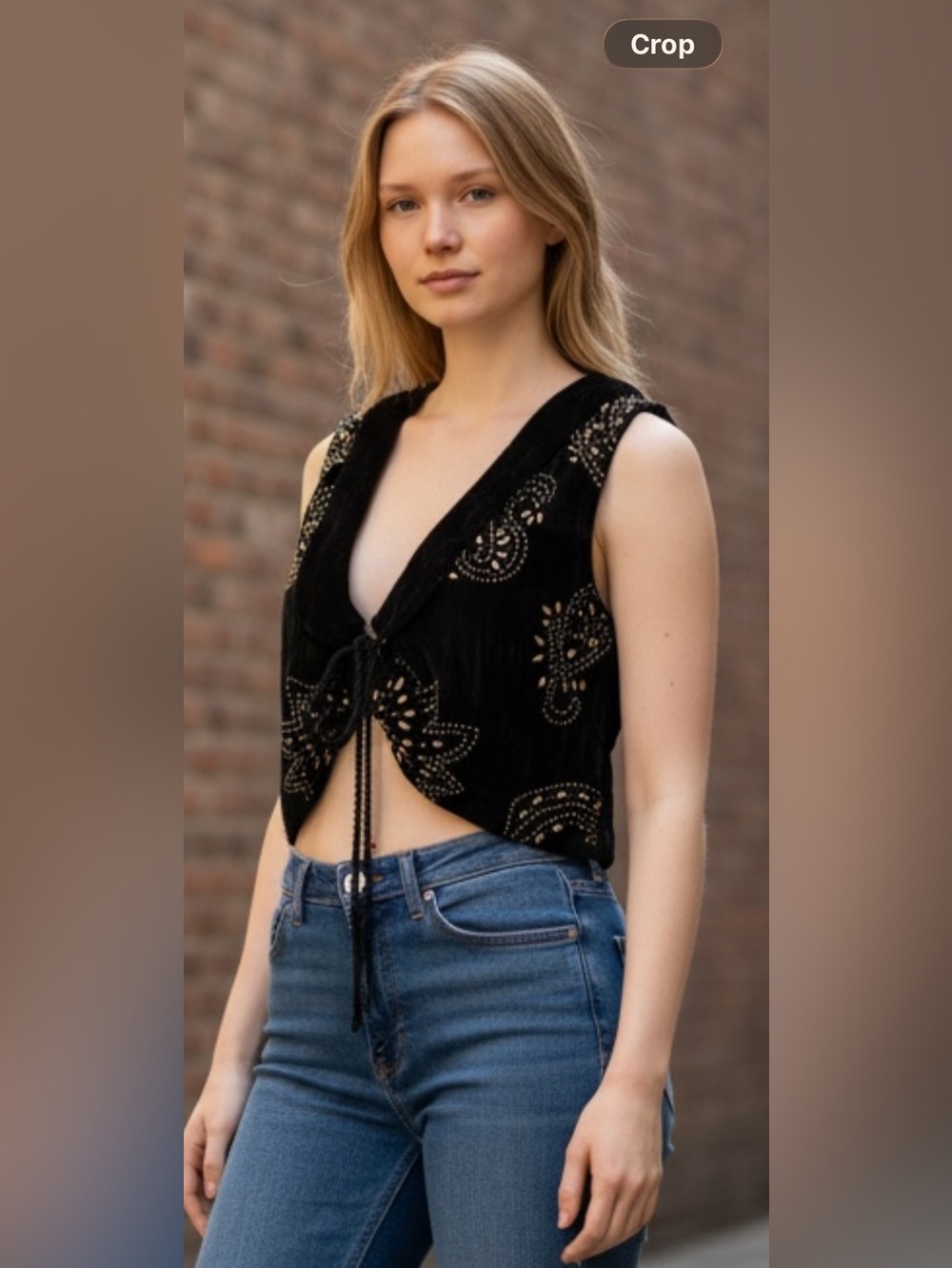 Free People Boho Velvet whimsigoth Bohimia front tide cropped Statement Top